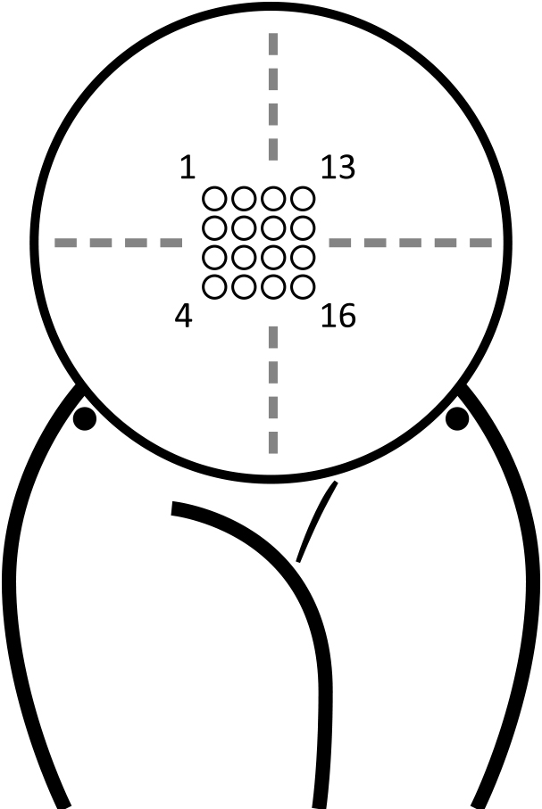 Image: Figure2.jpg